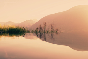 Herbstzeit im Geniessermonat - Aktionstage