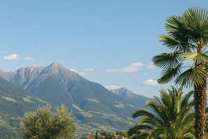 Sommerglück  – zwischen Bergen & mediterraner Leichtigkeit