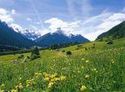 custom-elements/variant-groupings/int-0/name