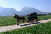 Romantic Horse-Drawn Carriage - enjoy the ride in the romantic region of King Ludwig