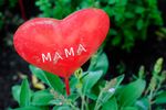 Mutter ist die Beste! Unser Wellness-Verwöhnpaket ist eine der schönsten Arten "Danke!" zu sagen - und Ihre Wertschätzung zum Ausdruck zu bringen. Verbringen Sie mit Ihrer Mutter 2 zauberhafte Tage mit Zeit füreinander und Wellness-Verwöhn-Anwendungen. Und auch für den Muttertags-Strauß sorgen wir ...
