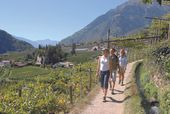 Exklusive Weinreise nach Meran 