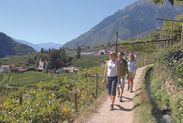 Exklusive Weinreise nach Meran 
