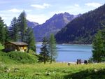 Bergsommer - erleben sie die Sommerfrische