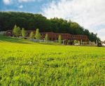 Gold - Prestige nach Olimjeart | 2010