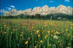 La montagna Vi chiama- il pacchetto escursioni per gli amanti della natura