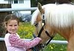 Reiten in Südtirol - Schnupperstunde inklusive