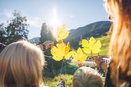 Family Herbst Special