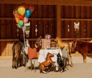 Bunter Pony-Geburtstag