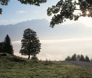 herbstZEIT - HerbstZEIT Schnuppern  | Anreise FR-SO