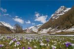 Primavera in montagna