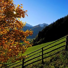 In autunno la Valle Aurina mostra il suo lato migliore, quando al mattino la valle è ancora sprofondata in un mare di nebbia ed il sole spunta dalle montagne. Vivete a fondo le variopinte giornate autunnali in mezzo ad una natura sana, un ambiente montano intatto e nel cuore di una delle più belle valli dell'Alto Adige - la Valle Aurina.