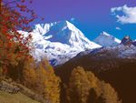 Golden Autumn &ndash; Your mini-vacation into fall