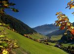 Autumn