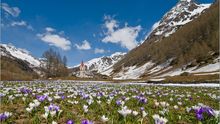 Spring in the mountains