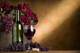 Enjoy a relaxed and easy-going Wellness & Spa Holiday – in which not only your senses, but also your taste buds are indulged in luxury! Do you love South Tyrol’s wines, and do you want to be pampered and indulged? Then the Alpenpalace Wine & Wellness Week is the right holiday for you!