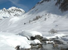 De la neige et rien que de la neige!