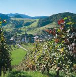 Kulinarischer Schwarzwald
