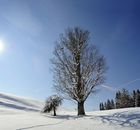 A Dreamy Winter Week in the Snow Enjoy the beautiful surroundings and the 3 included winter walks.