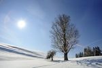 Sneeuwmagie op de flanken van de Wilde Kaiser en maart