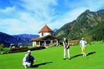 Golf Times Five in Summer
