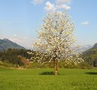 Buchbar von Sonntag bis Donnerstag4 Nächte genießen – nur 3 Übernachtungen bezahlen!
