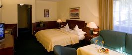 Double Room "Classic"