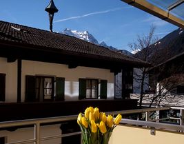 Manni - Studio Panorama