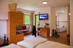 Hotel Tuxertal - Familiy Suite "PEAR"