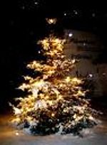 Kerstmis & Oudejaar in Grandhotel Lienz*****