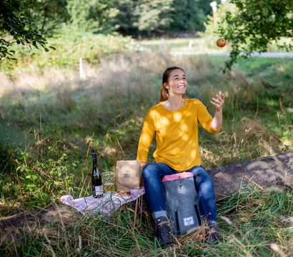 Angebot: Meine "Midweek"-Pause - PFALZBLICK WALD SPA RESORT