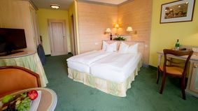 Doppelzimmer Napoleonsfels 5/6 - PFALZBLICK WALD SPA RESORT