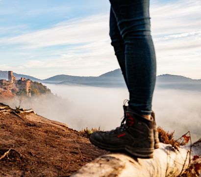 Angebot: Pfalzblick Wanderwoche - PFALZBLICK WALD SPA RESORT