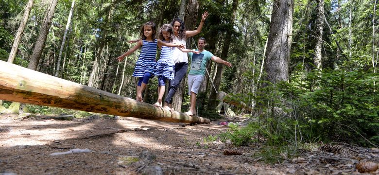 Familotel Bayerischer Wald ULRICHSHOF Nature · Family · Design: ULRICHSHOF XXL