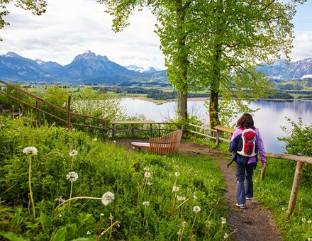 Angebot: Hopfener Wandervergnügen - Biohotel Eggensberger