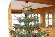 Christmas & New Year Combo