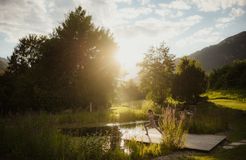 Tauber's Bio Vitalhotel: Naturbadeteich - Tauber's Bio Vitalhotel, St. Sigmund, Pustertal, Trentino-Südtirol, Italien