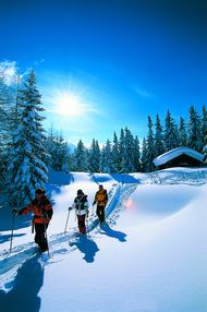 Naturerlebnis-Winterwochen