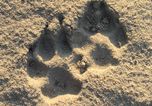 Wolfswochenende im Wendland | 2 Übernachtungen