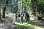 wanderung1.jpg