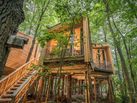 BIO-Hotel Kenners Landlust - Doppelzimmer BIO-Baumhaus