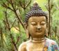 Wellness Yoga & Meditation