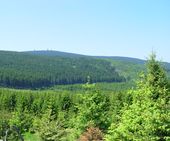"Ab in den Urlaub" - Sommertage im Harz | 3 Nächte