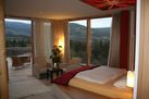 Schnapsdrossel - Kaminzimmer mit Terasse Premium