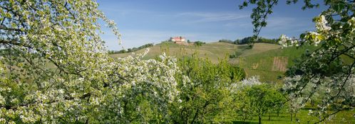 Langes Wochenende an Fronleichnam
