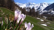Primavera in montagna