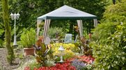 Schwarzwald-Sommer mit toskanischem Flair |