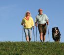 time-out with your dog