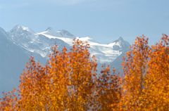 Automne doré | 3 nuits