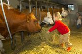Farm Adventure Weeks with  ****s  Comfort